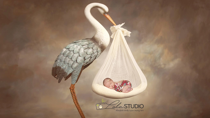 Lala Studio – nơi các thiên thần tỏa sáng