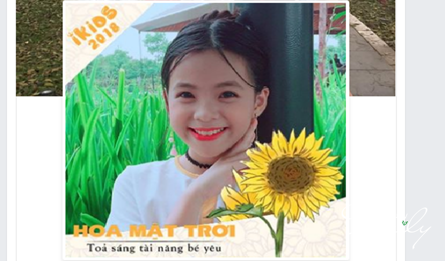 Khung ảnh Ikids Việt Nam 2018 – “Hoa mặt trời” nhuộm vàng Facebook