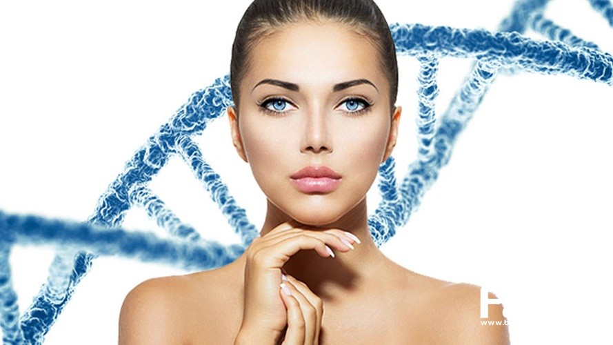 DNA cá hồi – thần dược giữ gìn tuổi thanh xuân