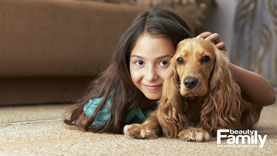 Cảnh báo cha mẹ 4 loại bệnh lây nhiễm từ thú cưng sang trẻ nhỏ